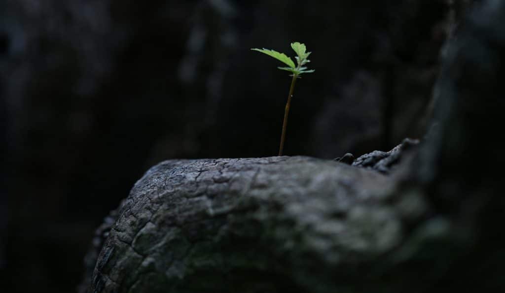 nagara oyodo kEosyjDZQ unsplash
